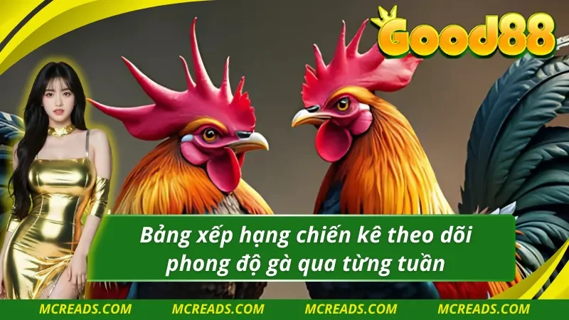 AOG đá gà có bảng xếp hạng từng chiến kê rõ ràng dễ theo dõi 