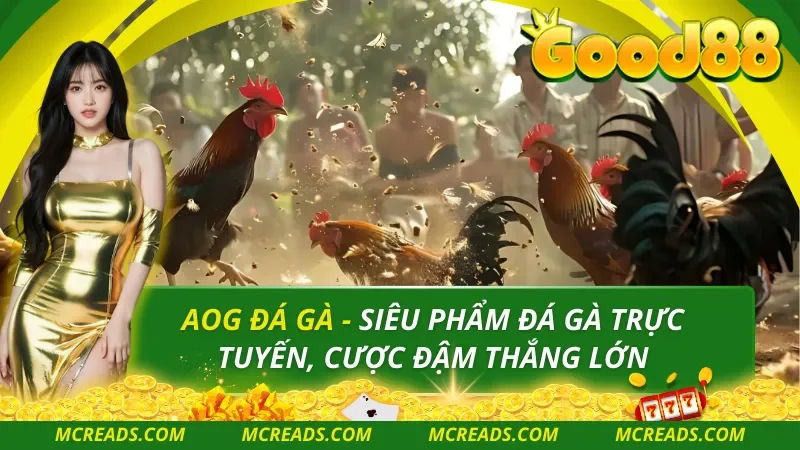 AOG đá gà