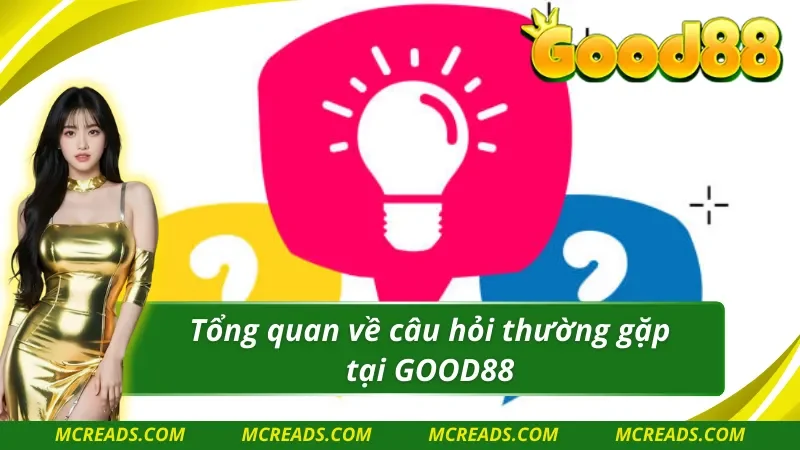 Những thông tin chính về câu hỏi thường gặp của tân thủ