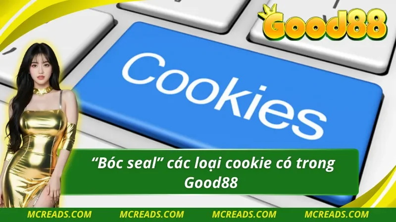 Các loại cookie phổ biến trong chính sách cookie 