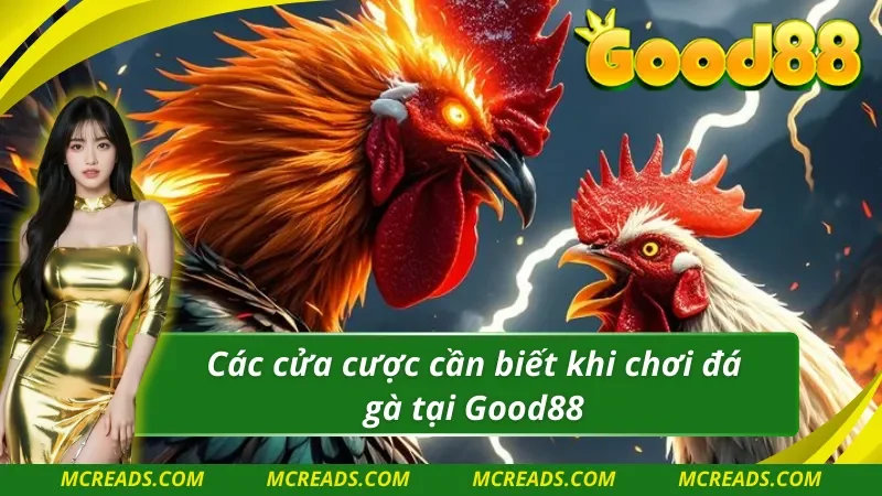 Hướng dẫn các dạng kèo cược Đá gà Good88