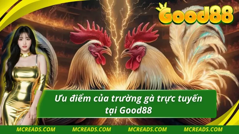Thế mạnh khẳng định đẳng cấp của Đá gà Good88