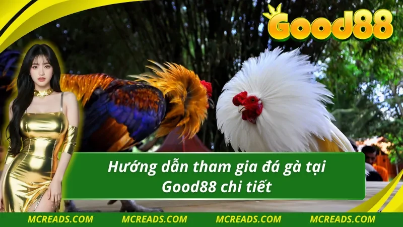 Bắt đầu trải nghiệm Đá gà Good88 với quy trình đơn giản